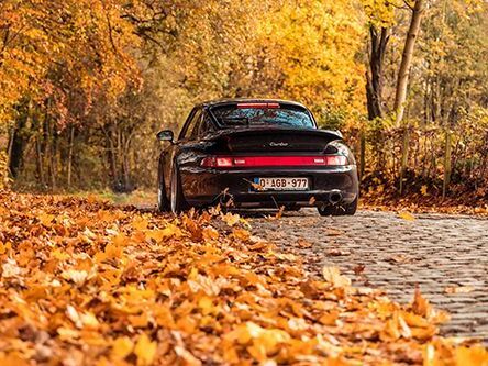 2025gr961-1.jpg